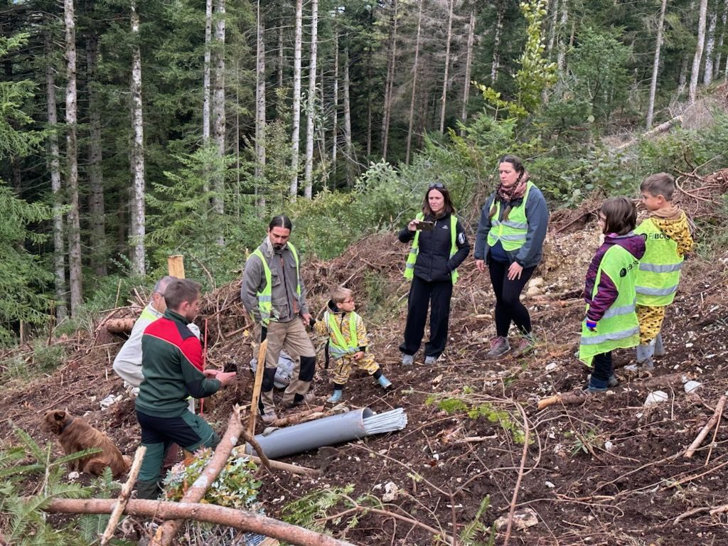 Plantation collective 