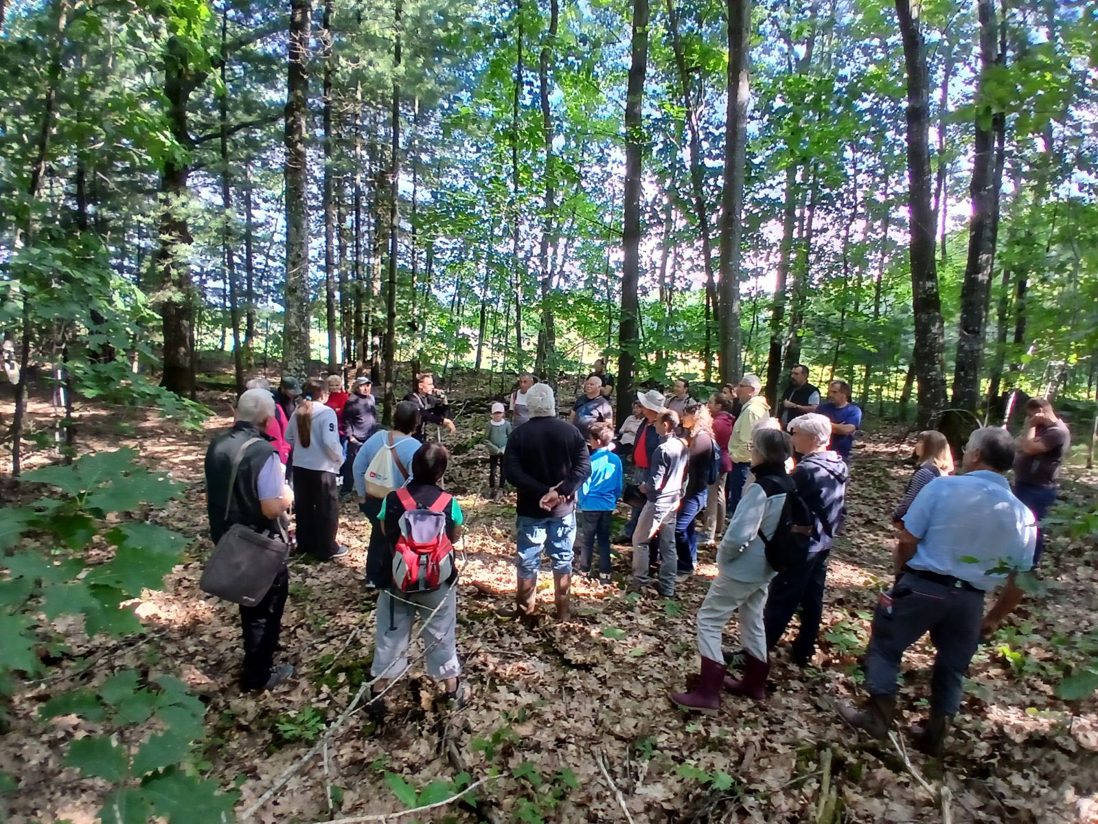 30 juillet à St Etienne du Bois avec les Sylviculteurs BDR