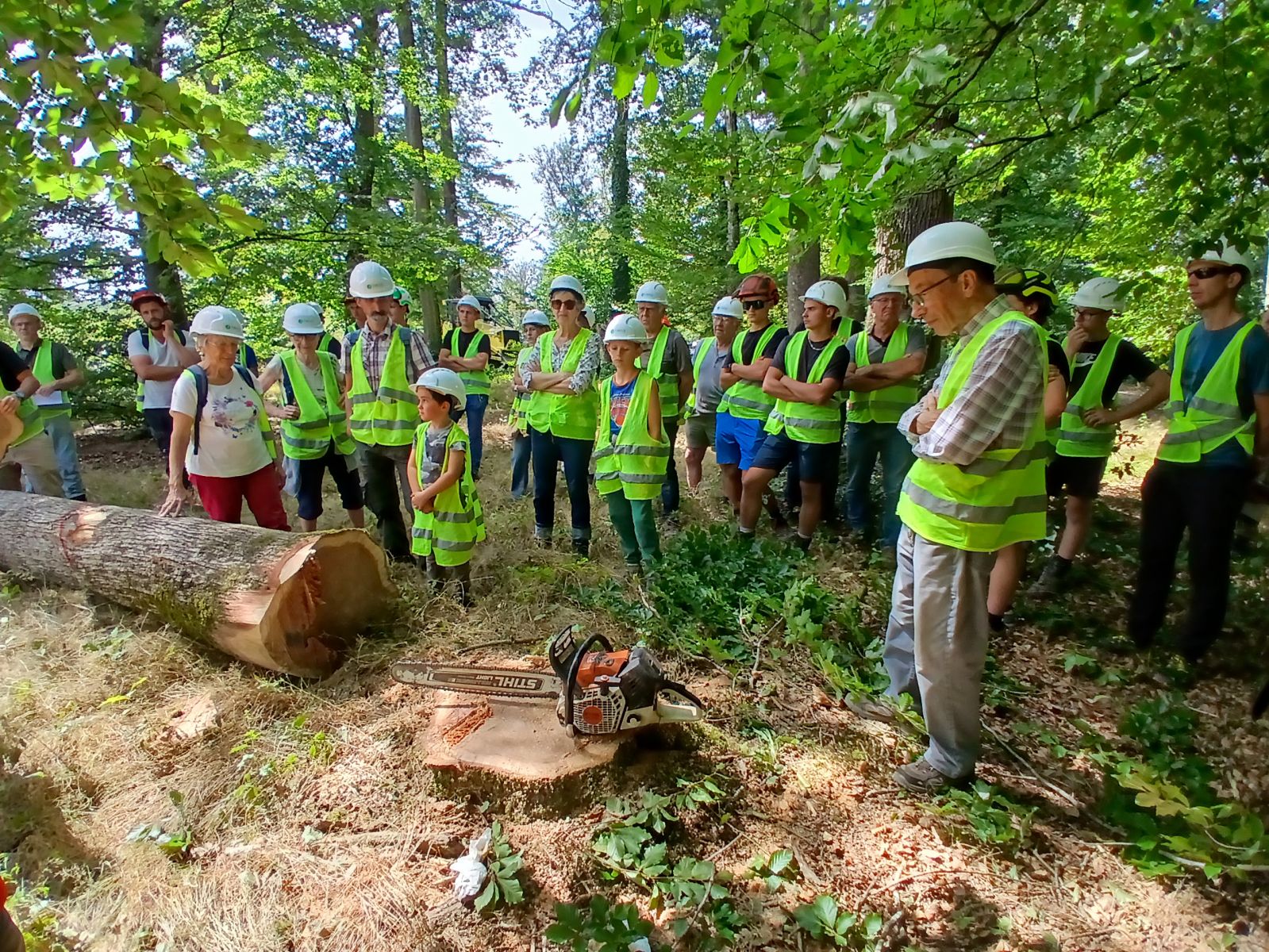 25 août en forêt de Seillon avec l'ONF