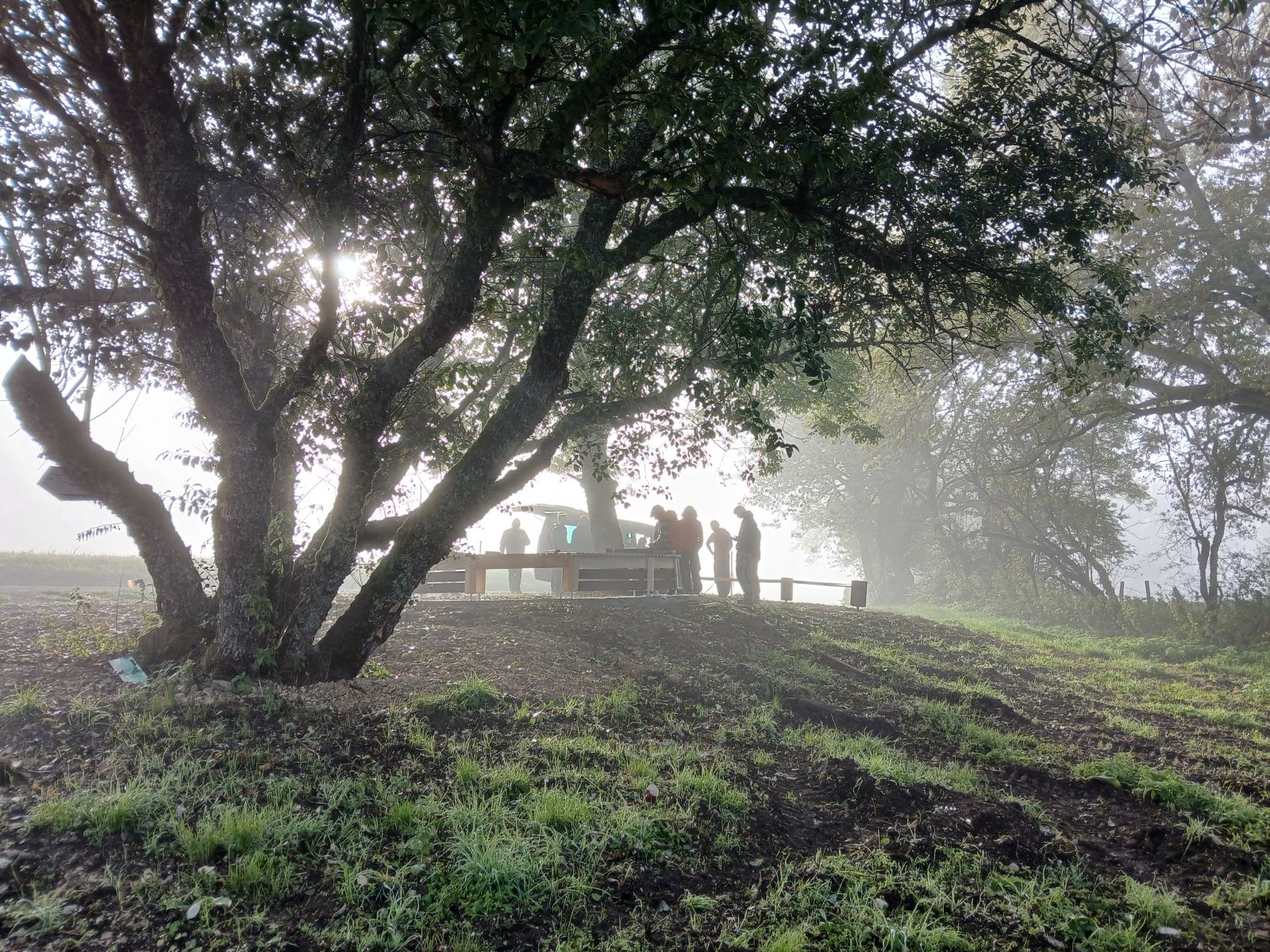 Fibois 01 - installation 08/10