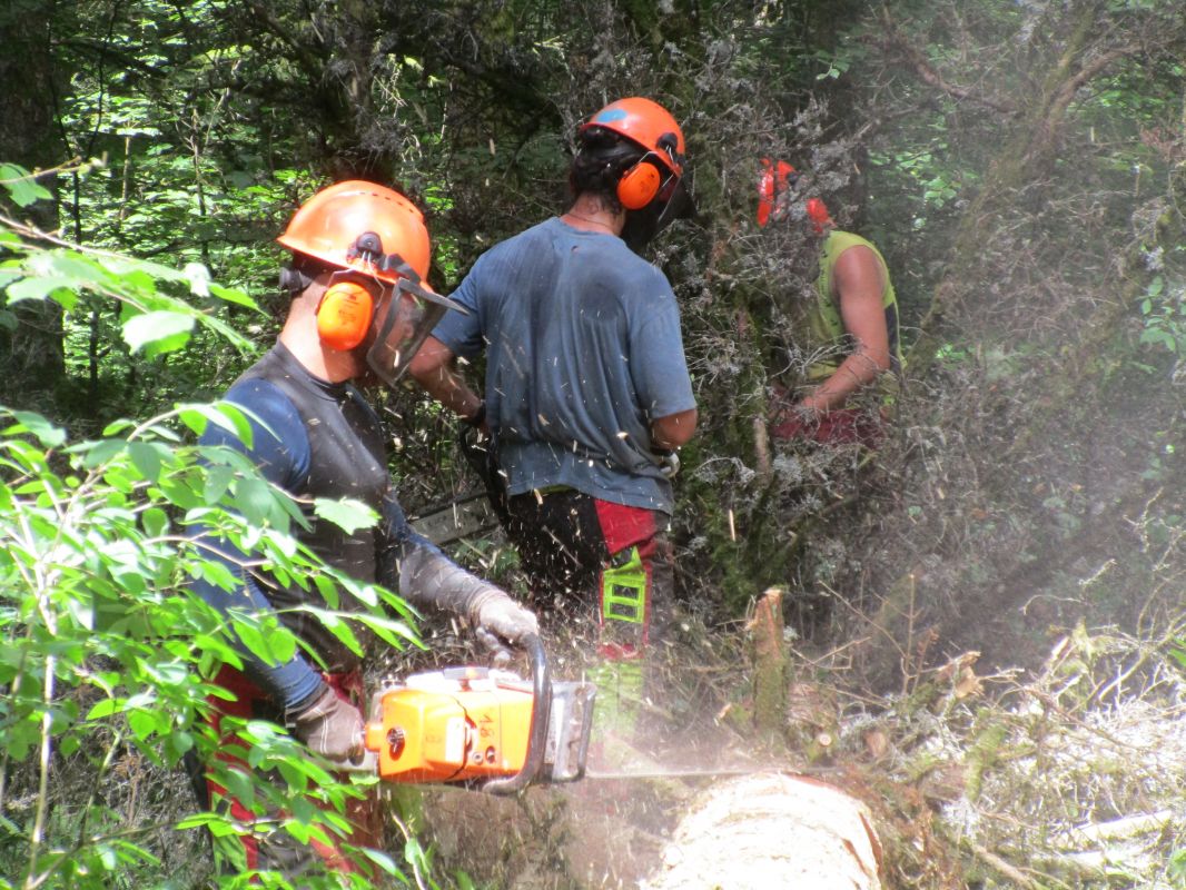 formation-travaux-forestiers-dans-l-ain-recrutement-en-cours
