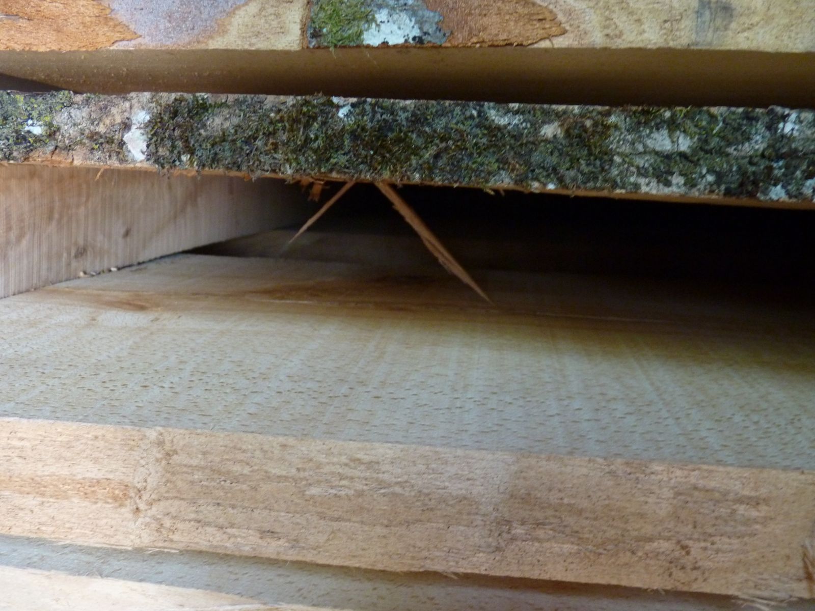 En cours de séchage