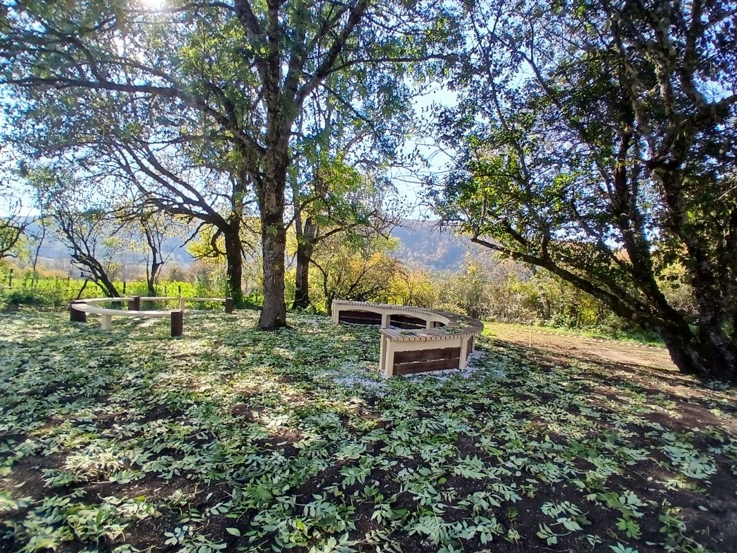 installation-et-inauguration-des-bancs-du-workshop-de-bout-en-bois-2025