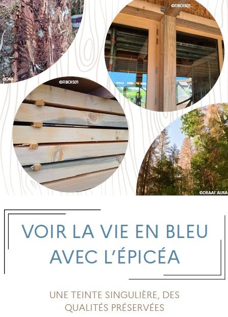 voir-la-vie-en-bleu-avec-l-epicea