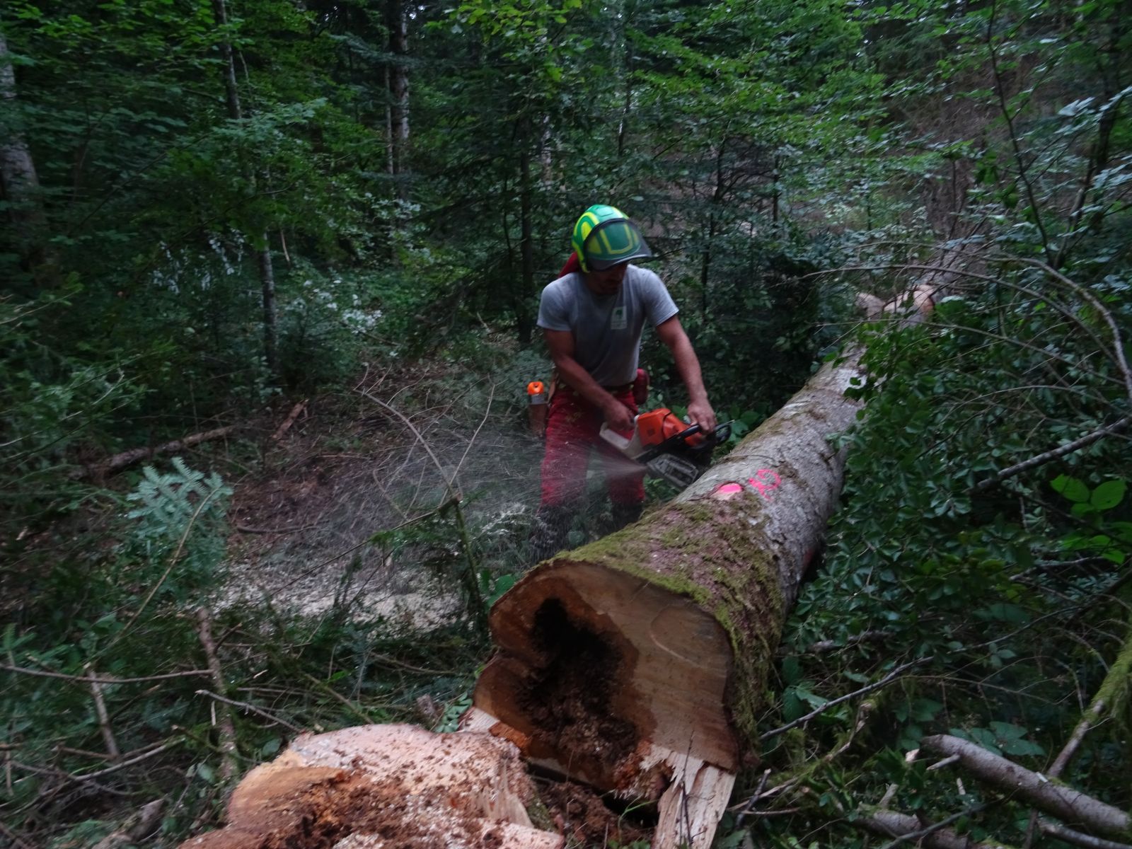 vendredi 30 juillet à Plateau d'Hauteville