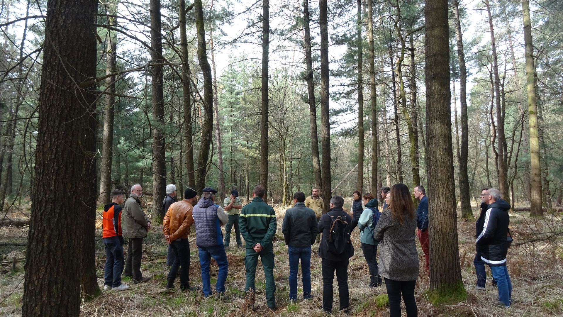 Val Revermont - en forêt