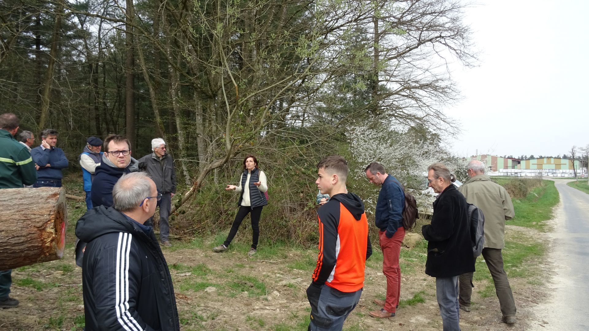 Val Revermont - en forêt