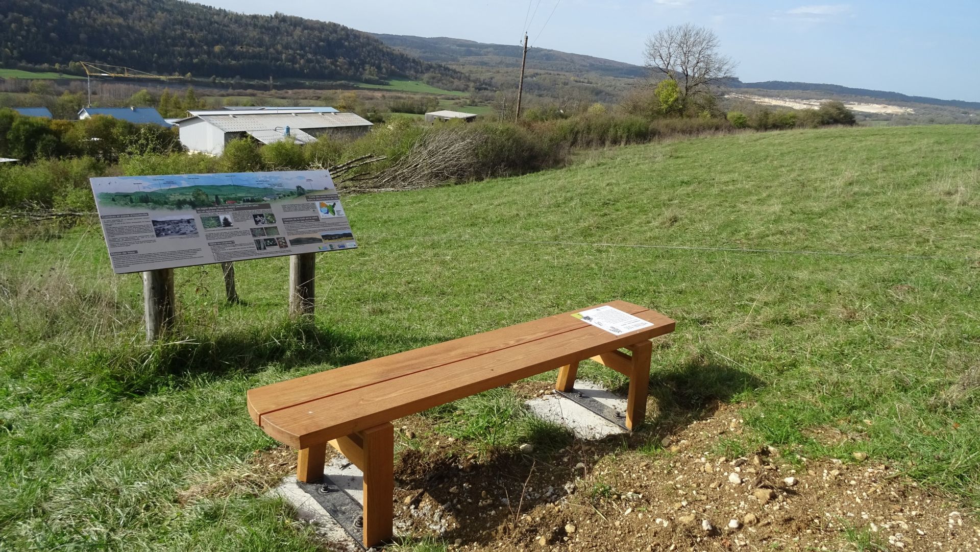 Banc en robinier faux acacia - au dessus du Pôle bois