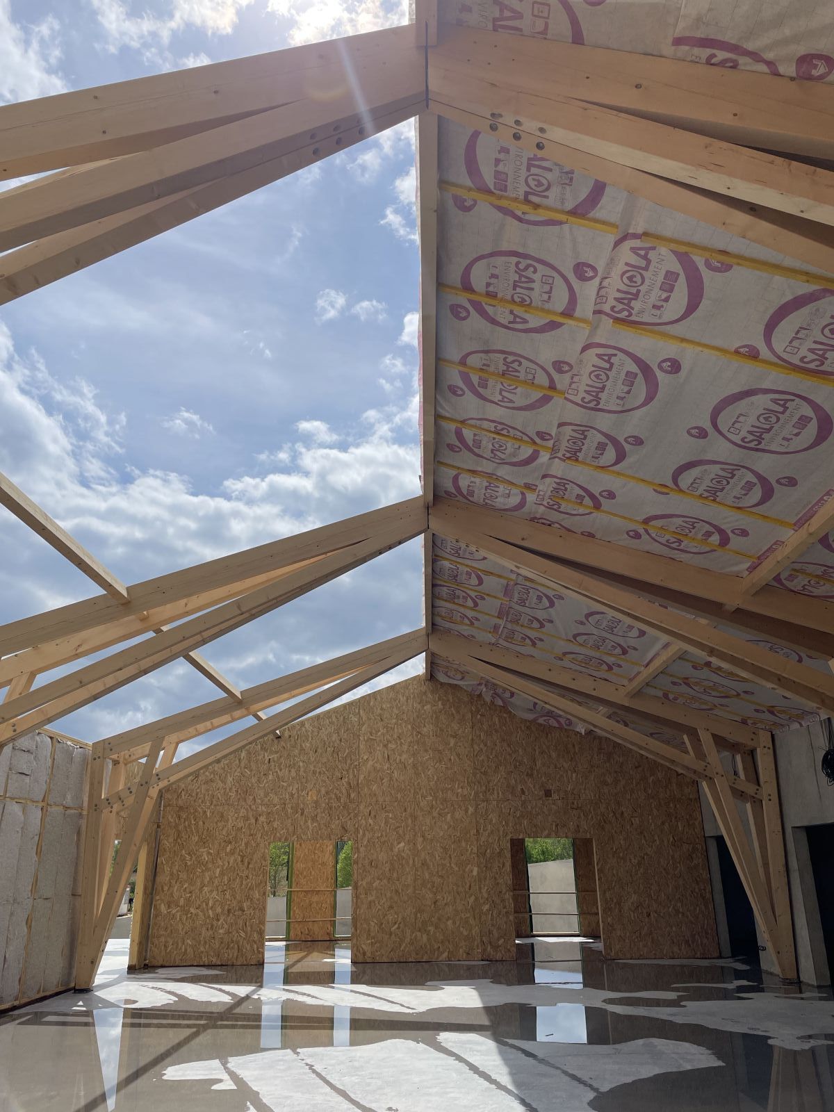 Tekhnê-Lieux FAUVES