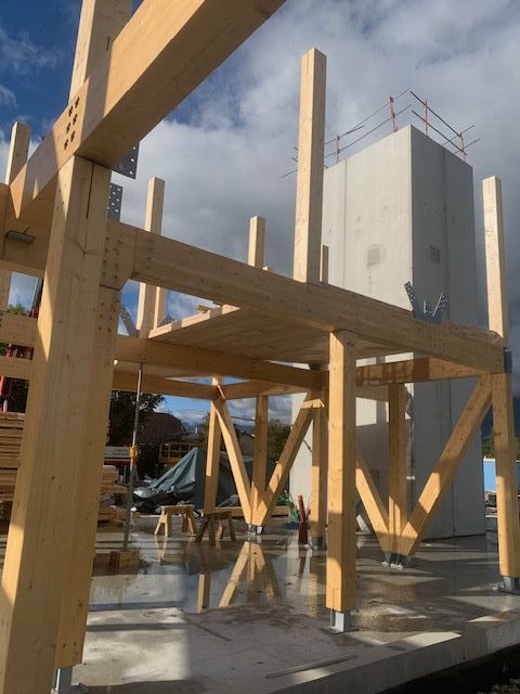 Photo Delphine Violet