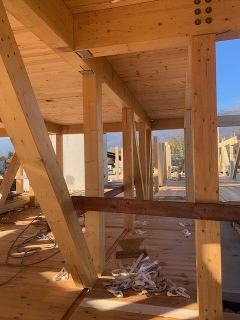 Photo Delphine Violet