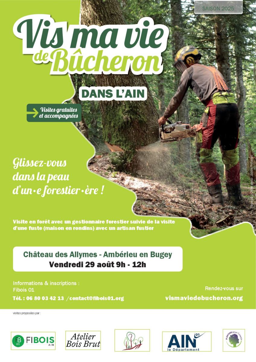 Affiche 29 août Château des Allymes