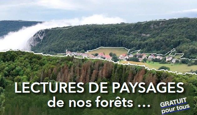 lectures-de-paysages-de-nos-forets