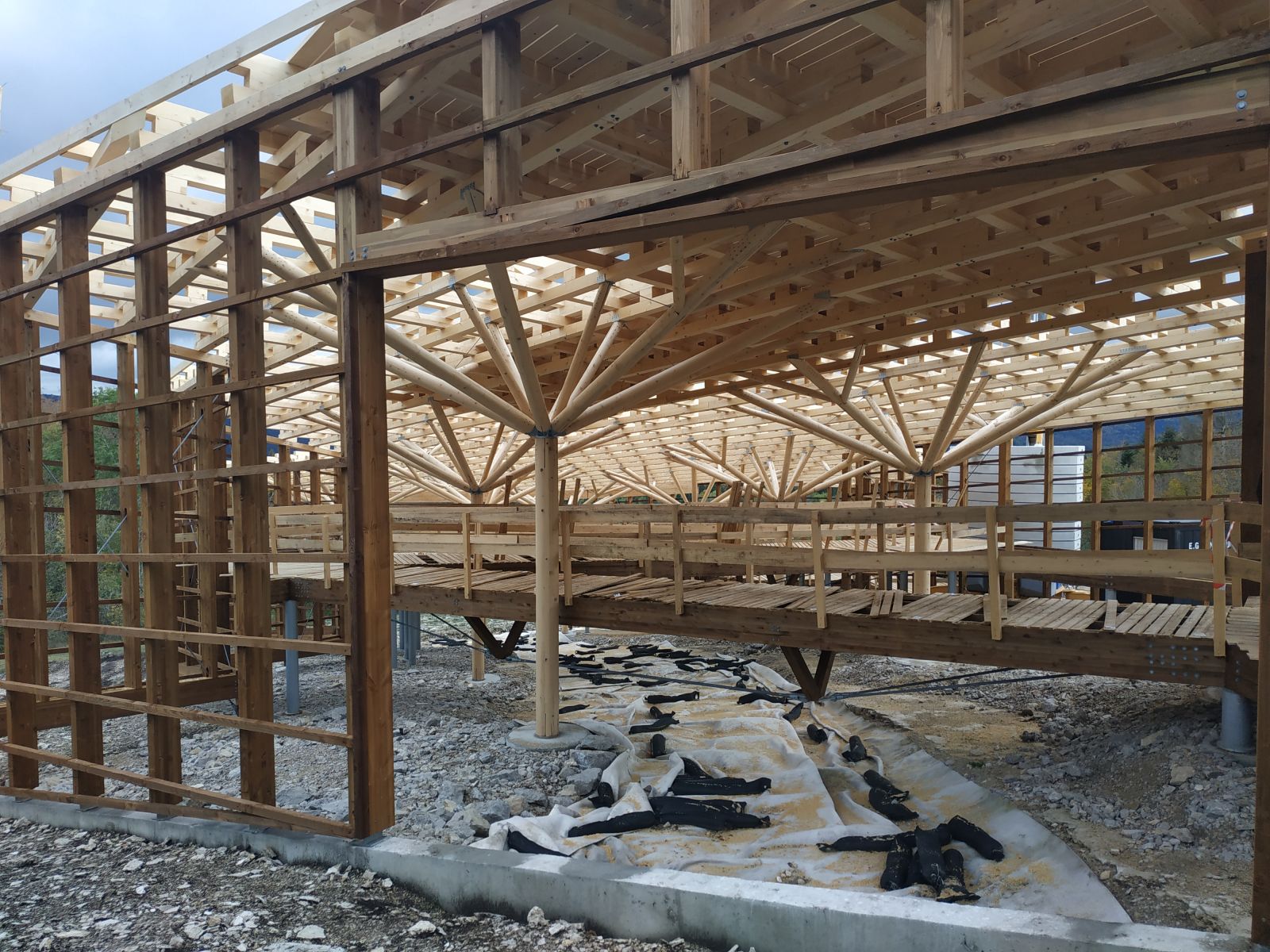 Dinoplagne - Octobre 2020