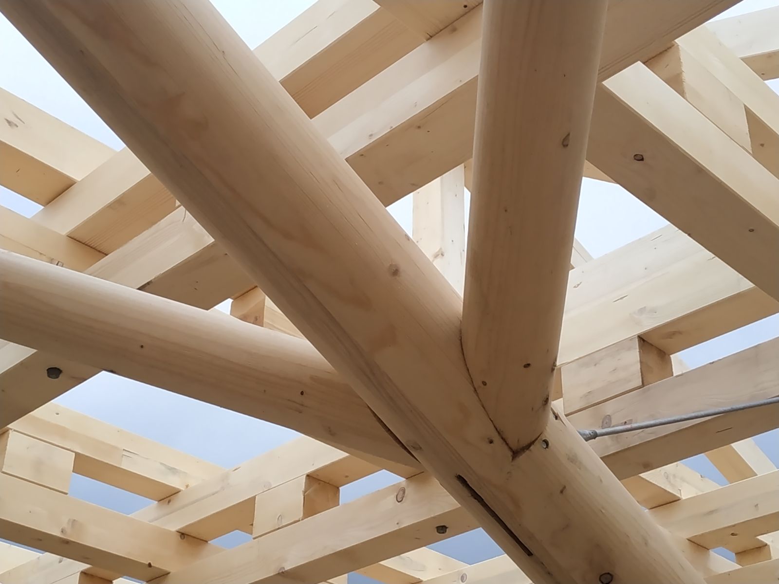 Dinoplagne - Octobre 2020