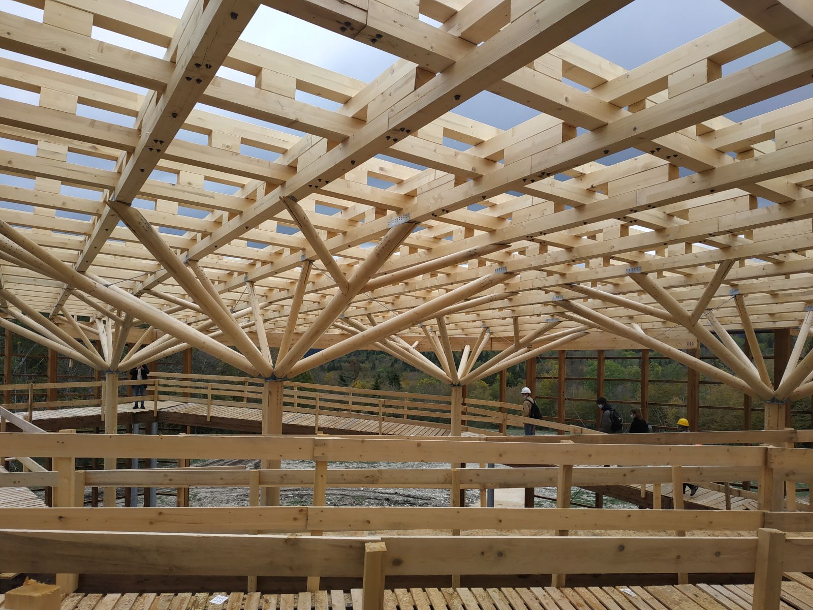 Dinoplagne  - Octobre 2020