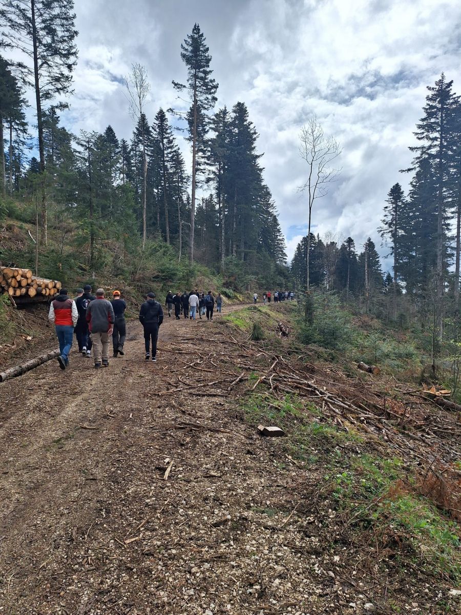 Visite en forêt avec l'ONF - photo Fibois 01