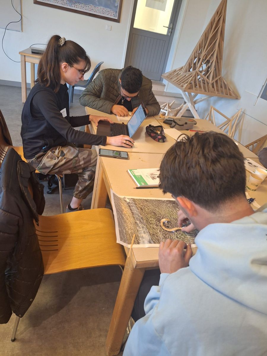 Conception-élaboration - photo Fibois 01