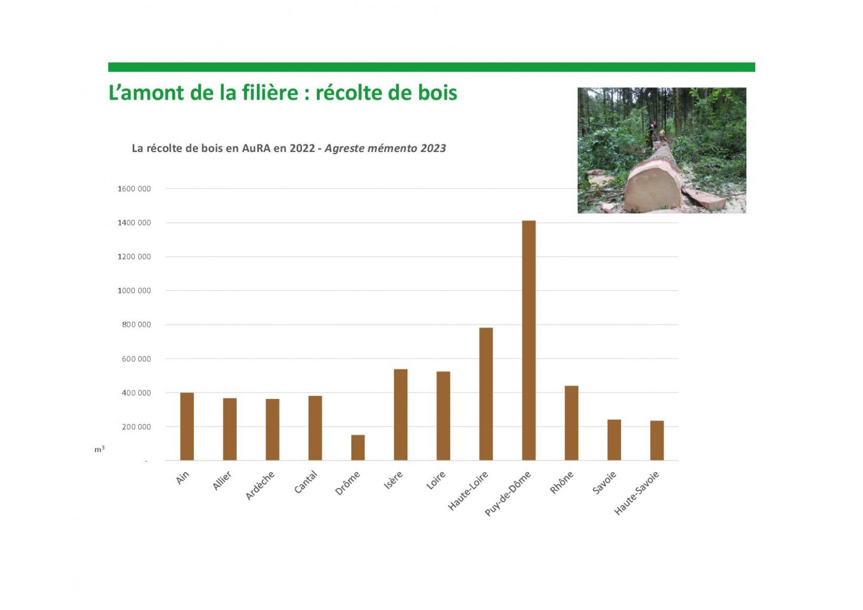 Récolte Bois en AuRA