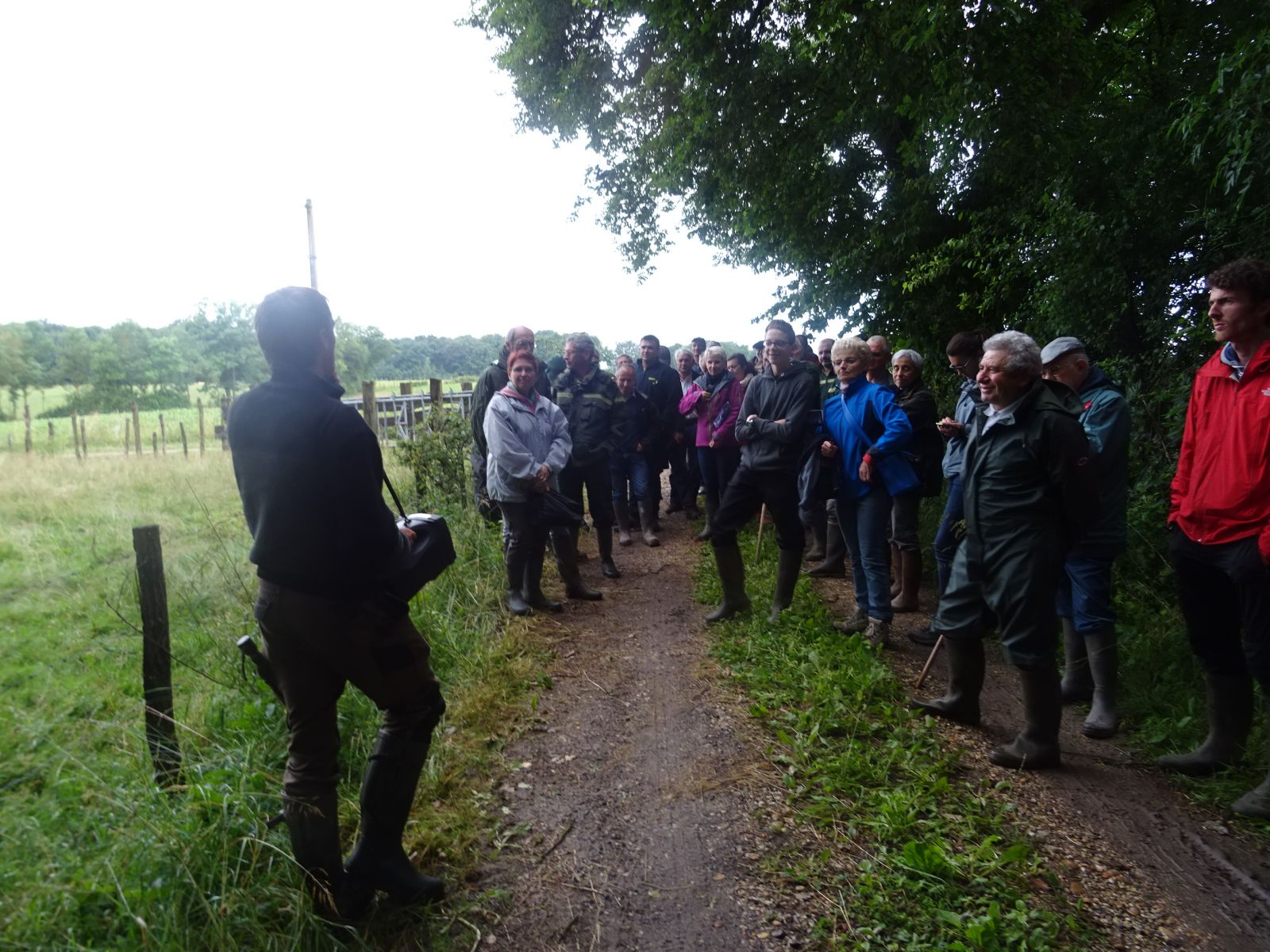 Visite de peuplements en chêne rouge
