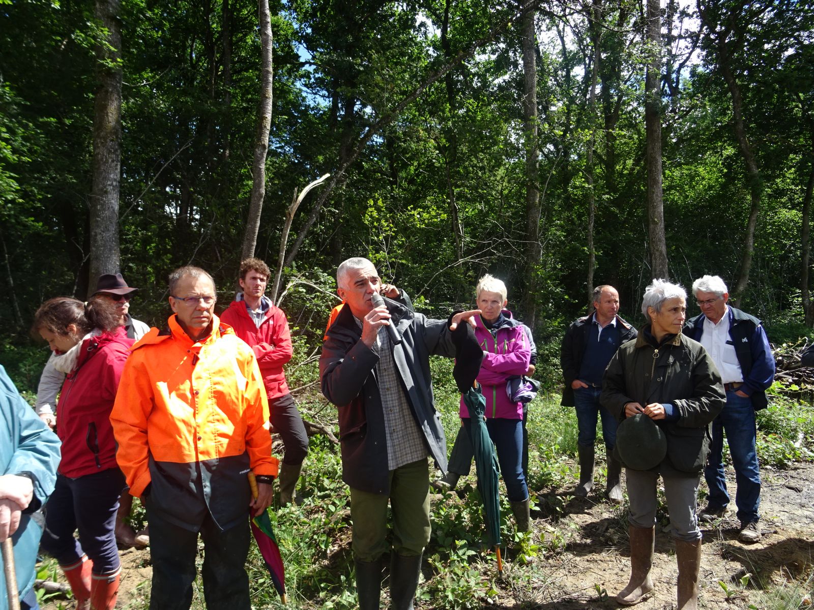 Visite de peuplements chêne rouge en Bresse