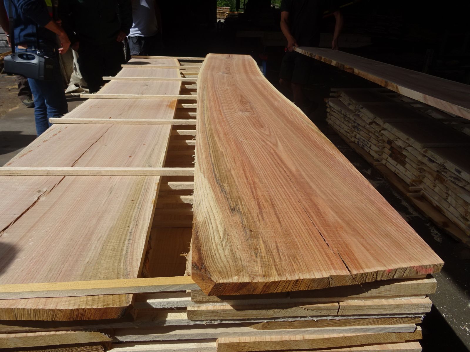 Visite de la scierie Pépin à St Nizier le Bouchoux