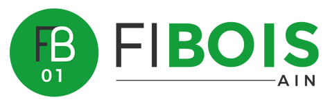 Logo Fibois 01